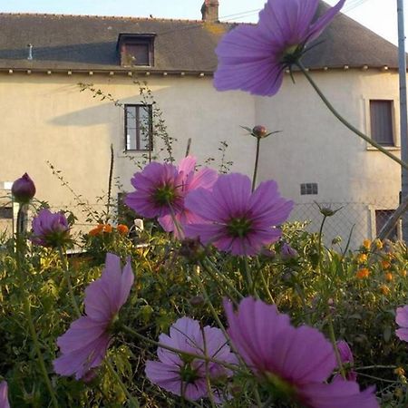 Manoir De La Guignardiere - Charme Et Douceur Chavagne 外观 照片