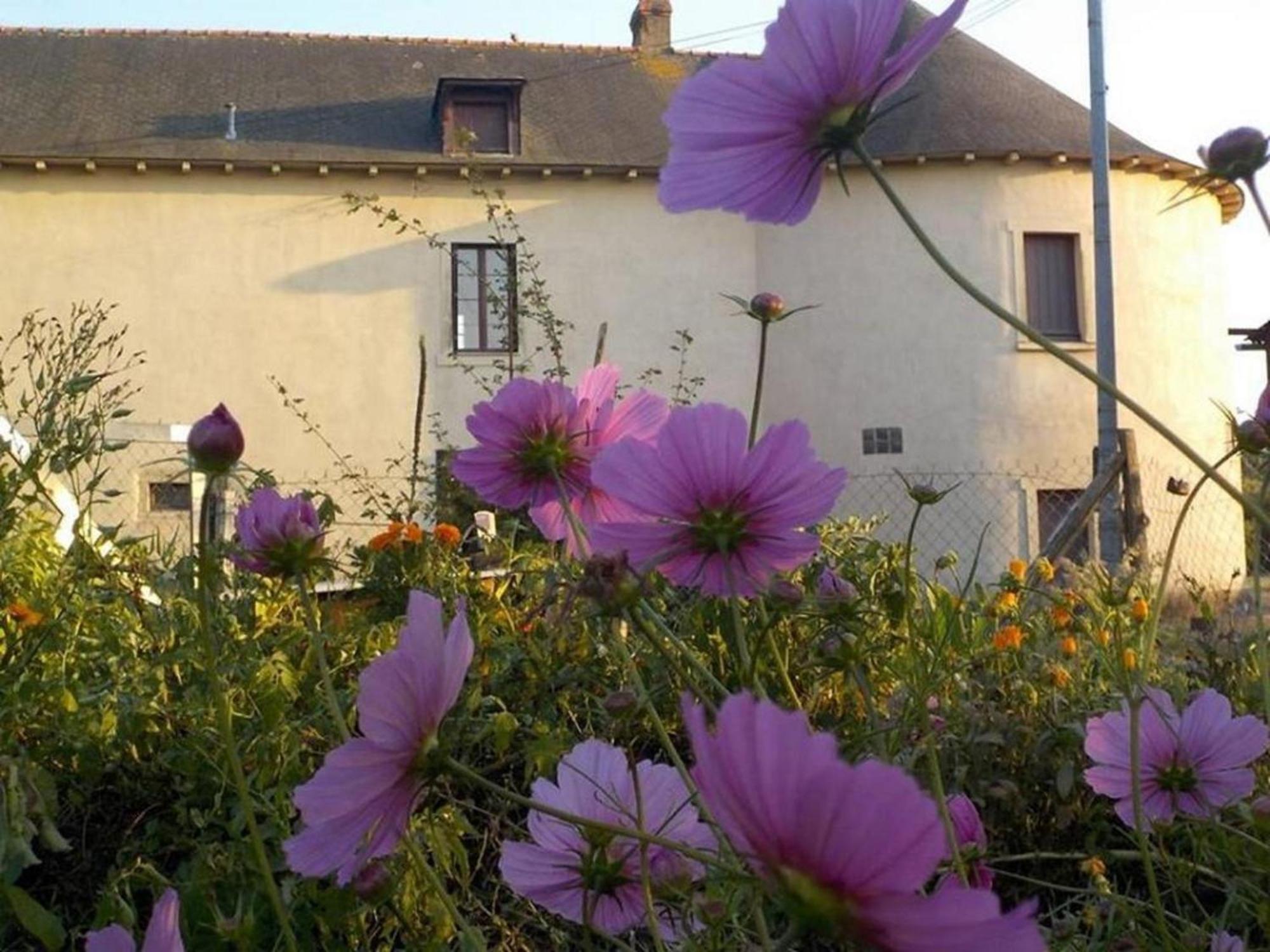 Manoir De La Guignardiere - Charme Et Douceur Chavagne 外观 照片